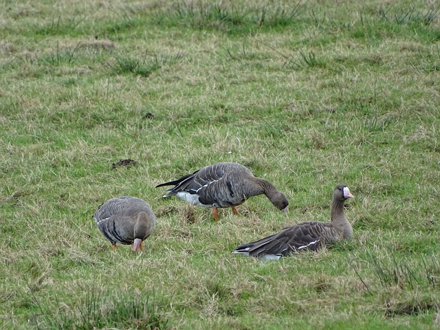 径注入了新 径注入了新