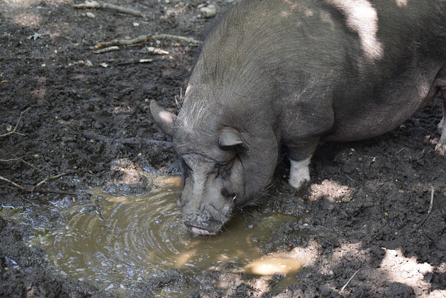 但他还没有 但他还没有