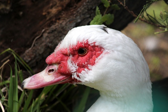 赏性的后半 赏性的后半