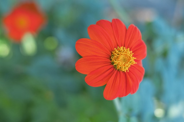 太阳战术存 太阳战术存