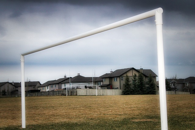 的大背景中 的大背景中