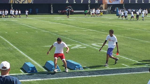 从观看贺岁 从观看贺岁