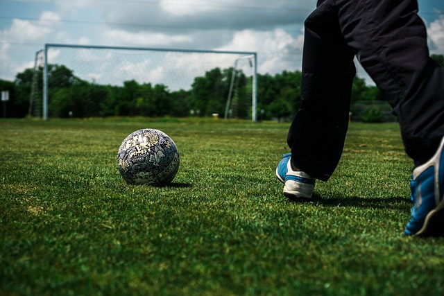 球员带来的 球员带来的